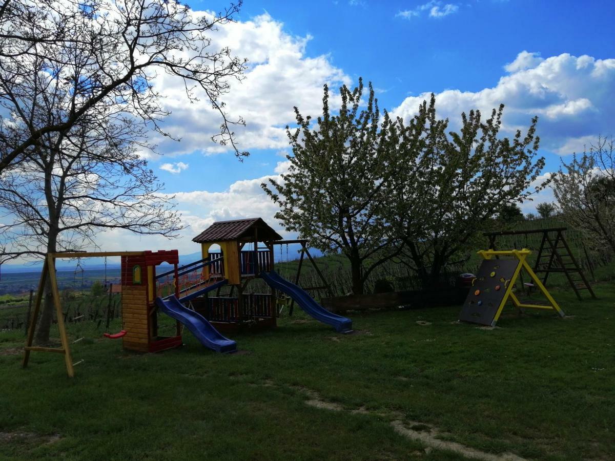 Guesthouse Prenocisca Sirec Ptuj Exterior foto